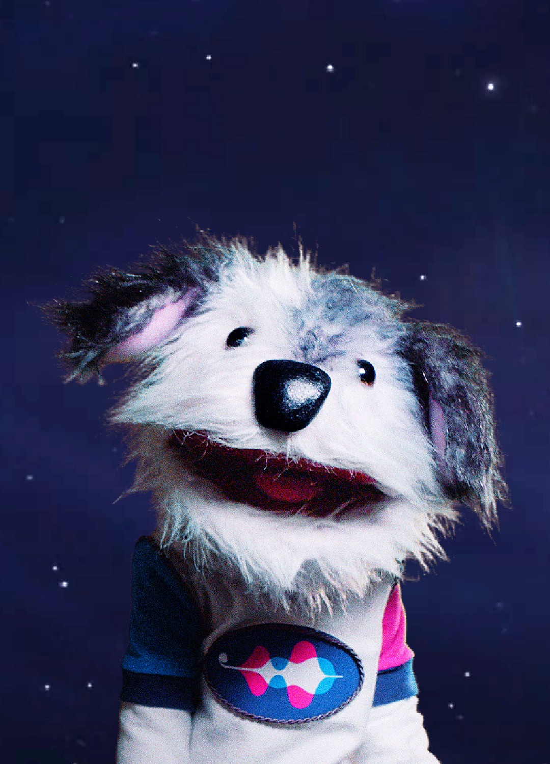 A photo of Harmon, a puppet Dog