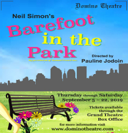 Barefoot in the Park poster