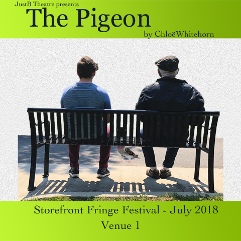 Storefront Fringe The Pigeon