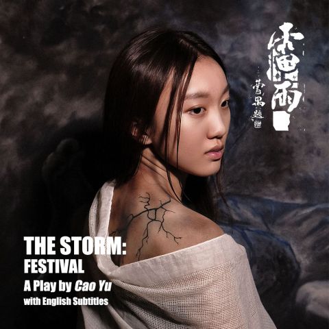 The Storm Festival poster with actress looking over her right shoulder