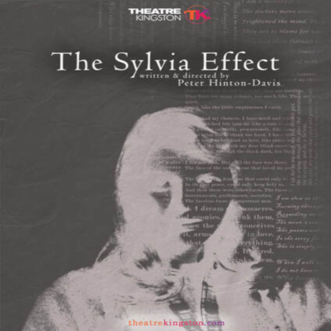 Negative image of a woman with The Sylvia Effect listed